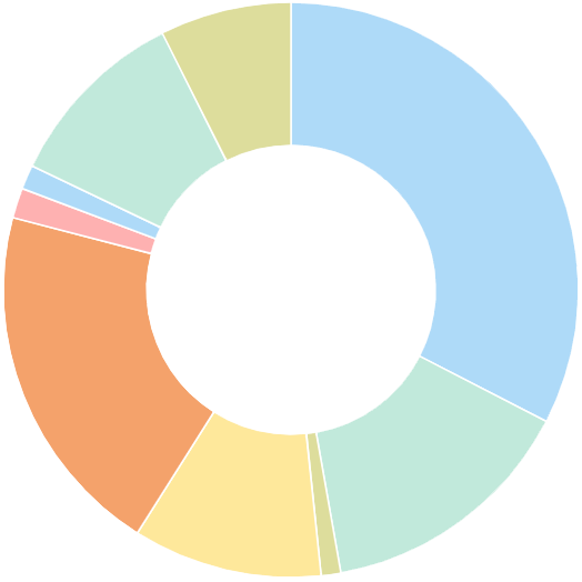 Illustration of a multicolored donut chart